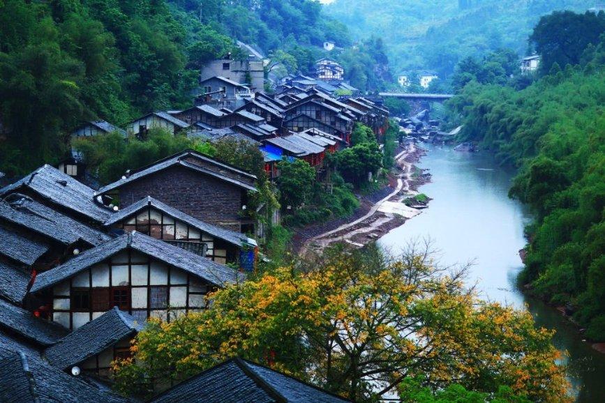 逃离森林边缘
